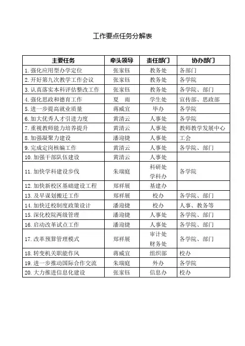 工作要点任务分解表