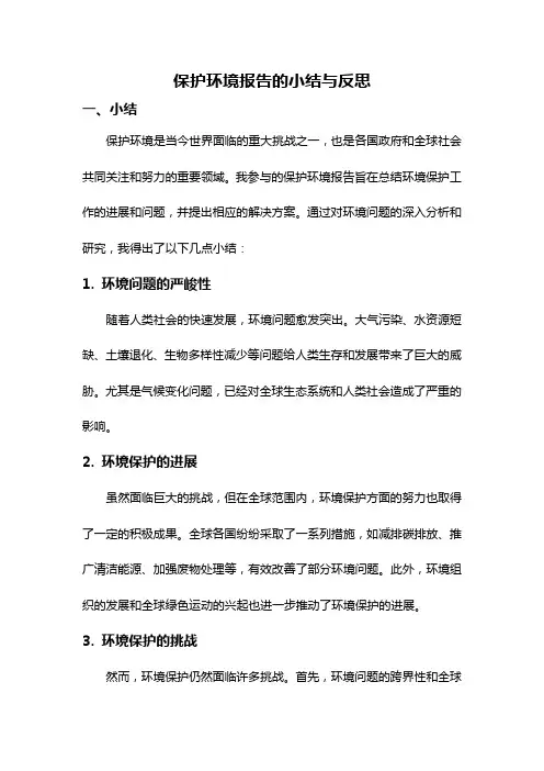 保护环境报告的小结与反思