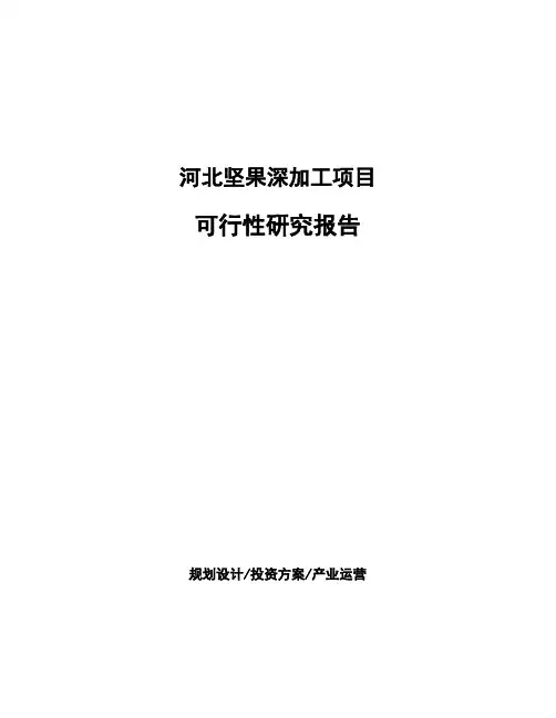 河北坚果深加工项目可行性研究报告