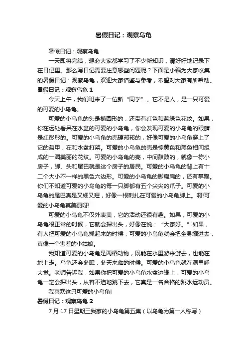 暑假日记：观察乌龟