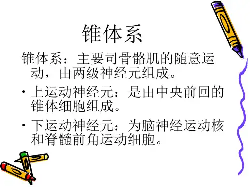 神经系统检查：椎体外系PPT幻灯片