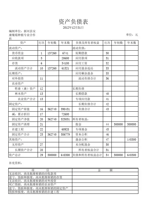 2012年资产负债表