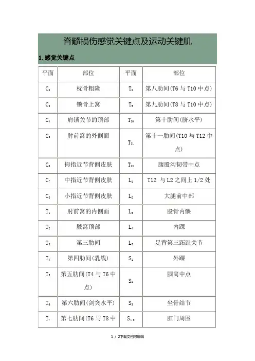 脊髓损伤感觉关键点及运动关键肌