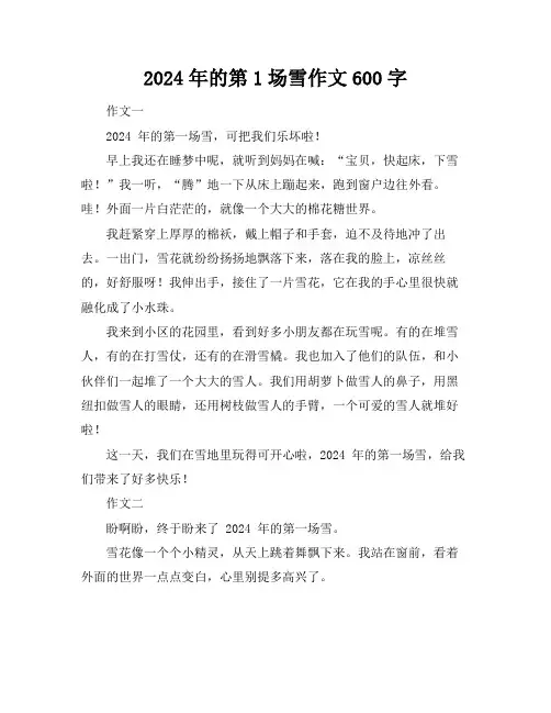 2024年的第1场雪作文600字