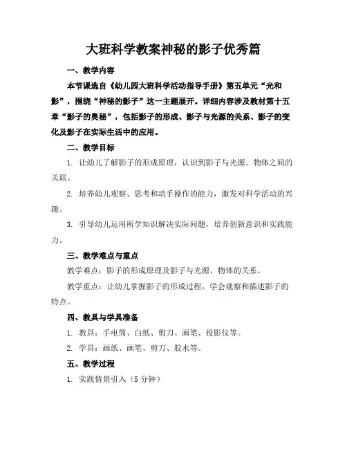 大班科学教案神秘的影子优秀篇
