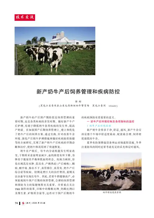 新产奶牛产后饲养管理和疾病防控