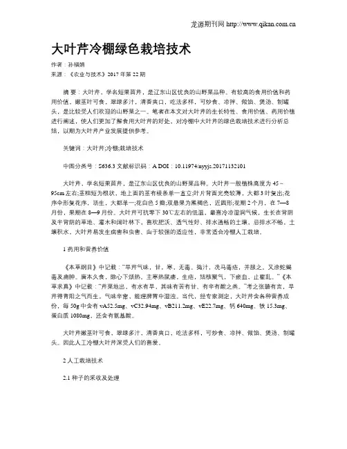 大叶芹冷棚绿色栽培技术