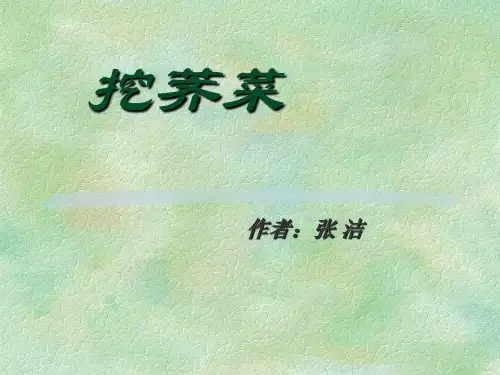 初中语文《挖荠菜》课件