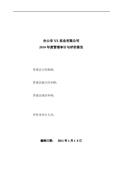 2010年管理审计及评价报告