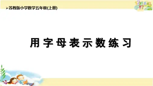 苏教版数学五年级上册 用字母表示数练习