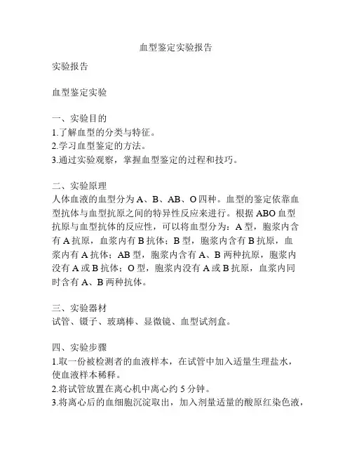 血型鉴定实验报告