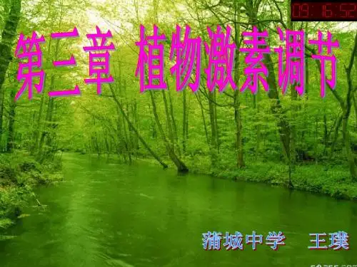 第一节 植物生长素的发现