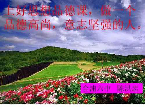 人生难免有挫折(1)PPT课件