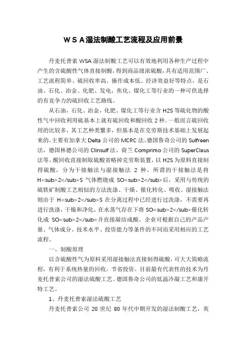WSA湿法制酸工艺流程及应用前景