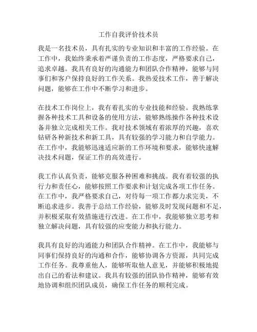 工作自我评价技术员