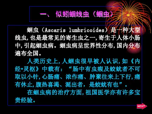 蛔虫详解