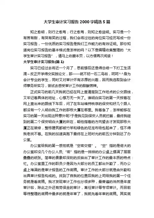 大学生审计实习报告2000字精选5篇