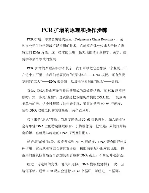 PCR扩增的原理和操作步骤