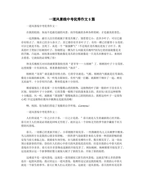 一道风景线中考优秀作文5篇