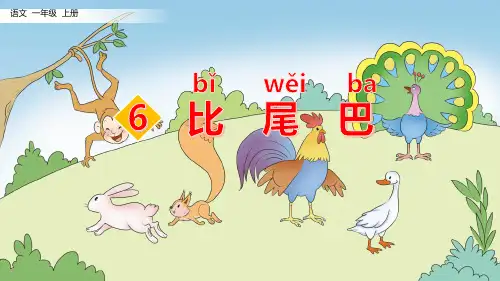 《比尾巴》语文教学PPT课件(7篇)