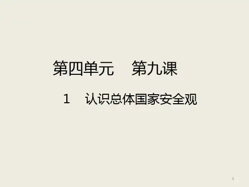 认识总体国家安全观PPT演示课件