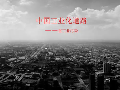 中国工业化的弊端