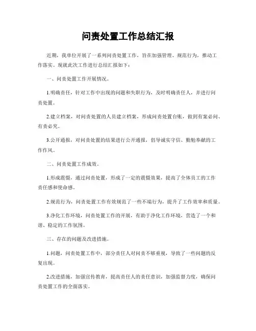 问责处置工作总结汇报