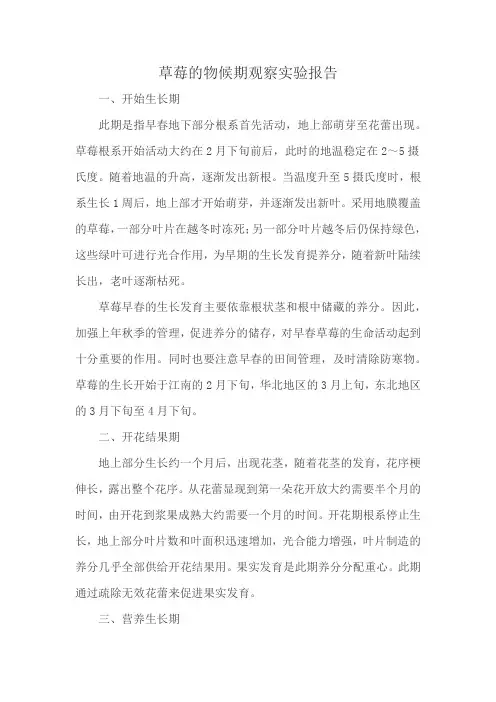 草莓的物候期观察实验报告