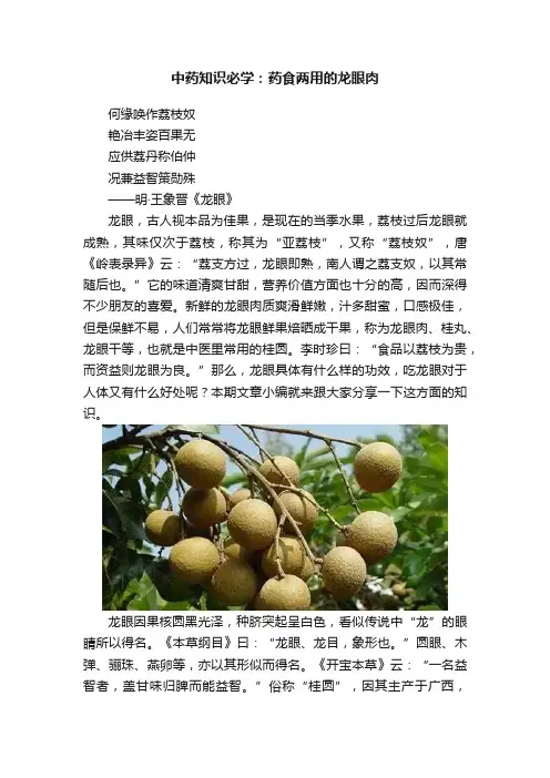 中药知识必学：药食两用的龙眼肉
