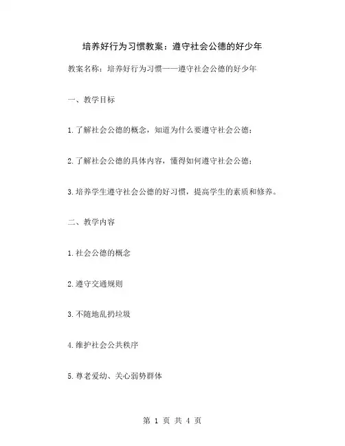 培养好行为习惯教案：遵守社会公德的好少年