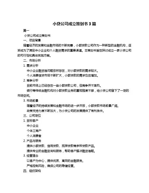小贷公司成立策划书3篇