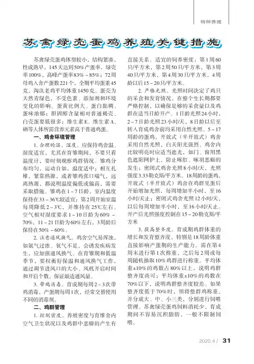 苏禽绿壳蛋鸡养殖关键措施