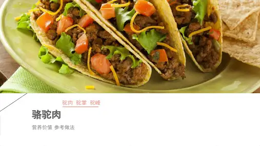 骆驼肉营养价值及其制作方法