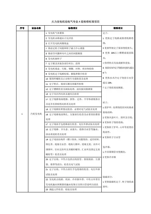 火力发电机组电气专业A级检修标准项目