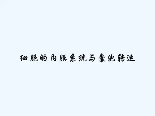 细胞的内膜系统与囊泡转运-PPT