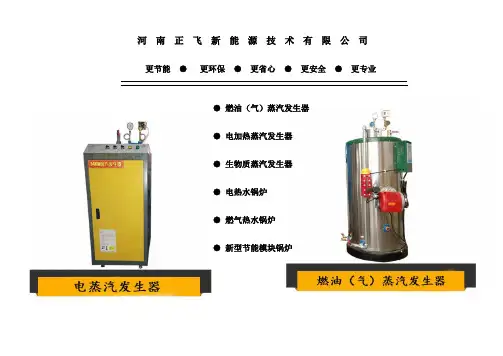 300千克燃气蒸汽发生器介绍