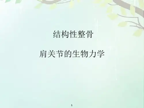 肩关节的生物力学  ppt课件