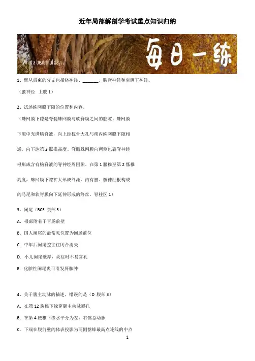 近年局部解剖学考试重点知识归纳