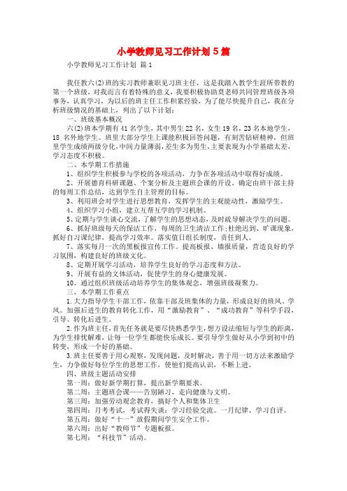 小学教师见习工作计划5篇