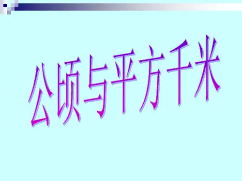 数学五年级上北师大版6-3公顷-平方千米课件6