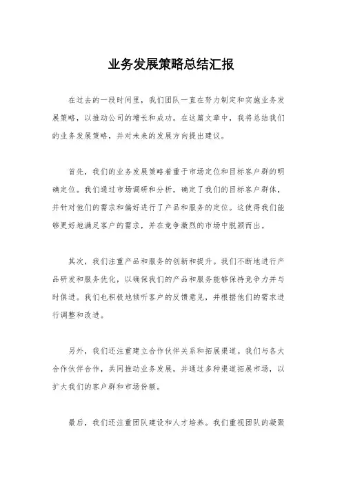 业务发展策略总结汇报