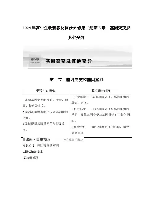 2024年高中生物新教材同步必修第二册第5章 基因突变及其他变异第1节 基因突变和基因重组含答案