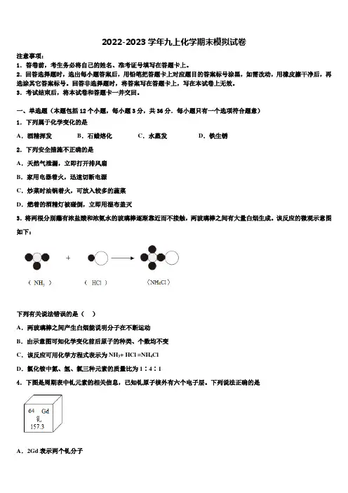 2023届云南省重点中学九年级化学第一学期期末考试模拟试题含解析