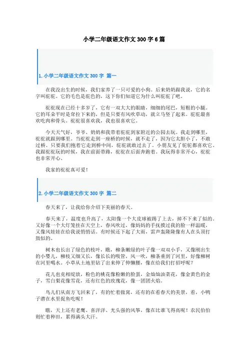 小学二年级语文作文300字6篇