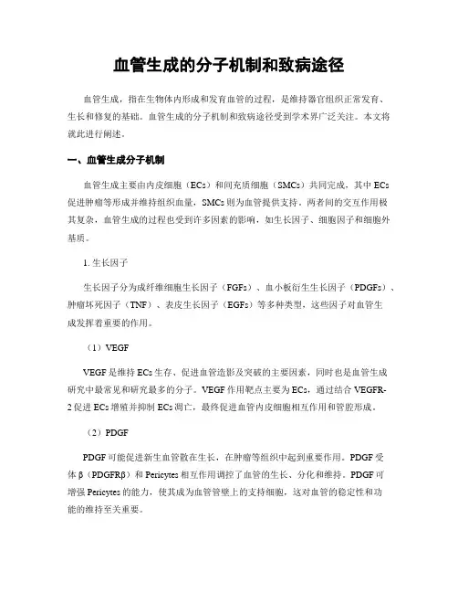 血管生成的分子机制和致病途径