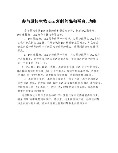 参与原核生物dna复制的酶和蛋白,功能