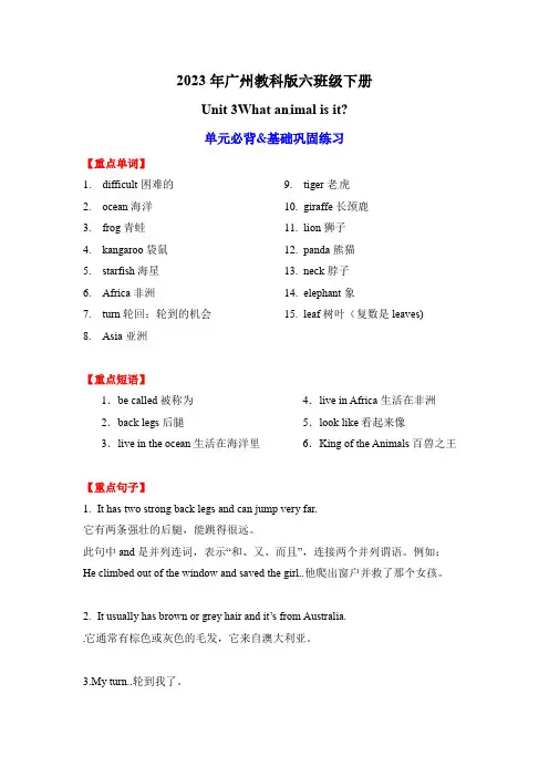 2023年教科版六年级下册英语Unit 3 What animal is it 
