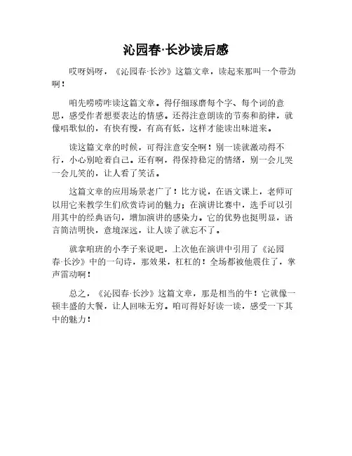 沁园春长沙读后感600字