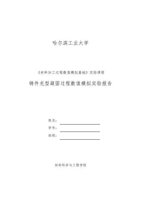 铸件充型凝固过程数值模拟实验报告