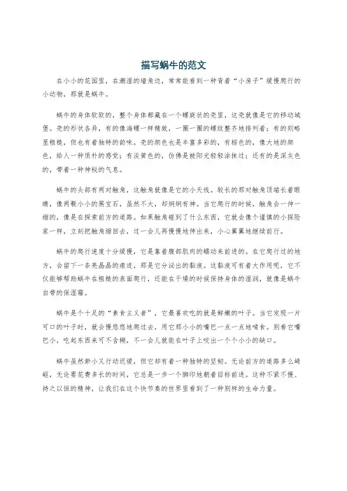 描写蜗牛的范文